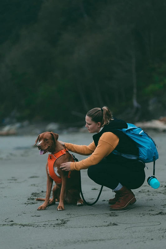 Not only Jogging, take it for hiking and small trips!