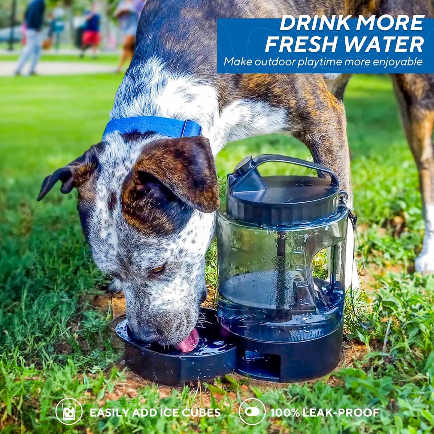 77OZ Dog Water Bowl Dispenser, Travel Dog Bowls for Camping Dog Park Hiking