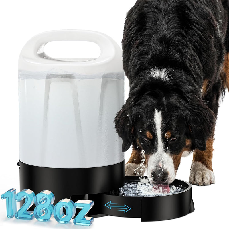 1-Gallon Gravity Water Dispenser