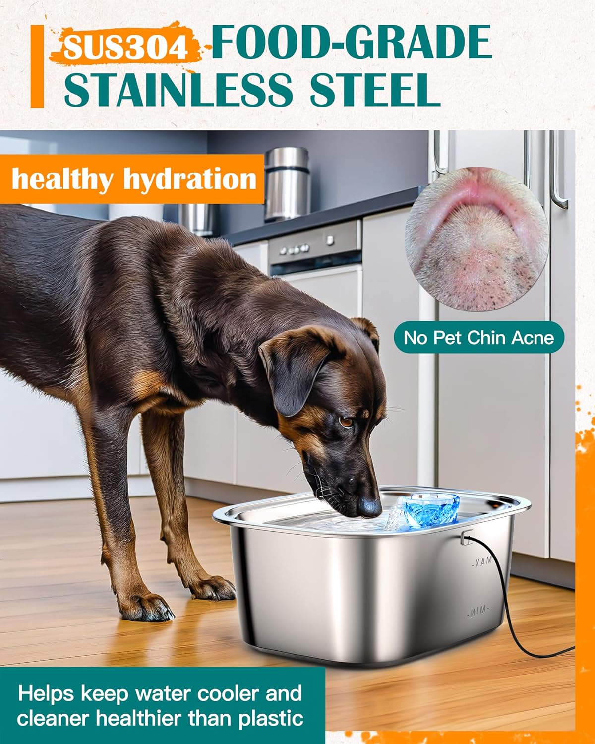 Dog Water Fountain for Large Dogs 3 Gallon
