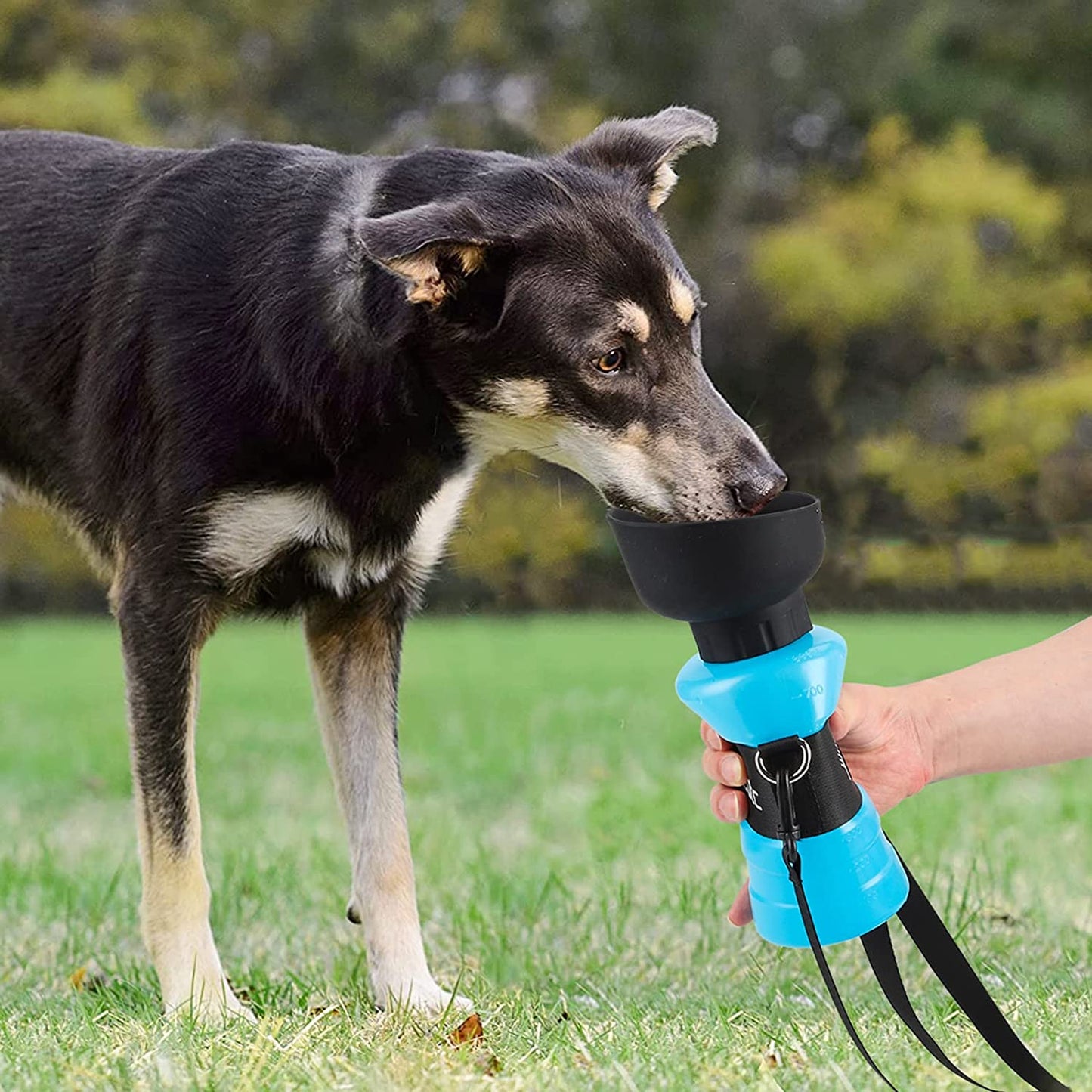 3rd GEN Portable Pet Water Disperser Bottle, American Patent