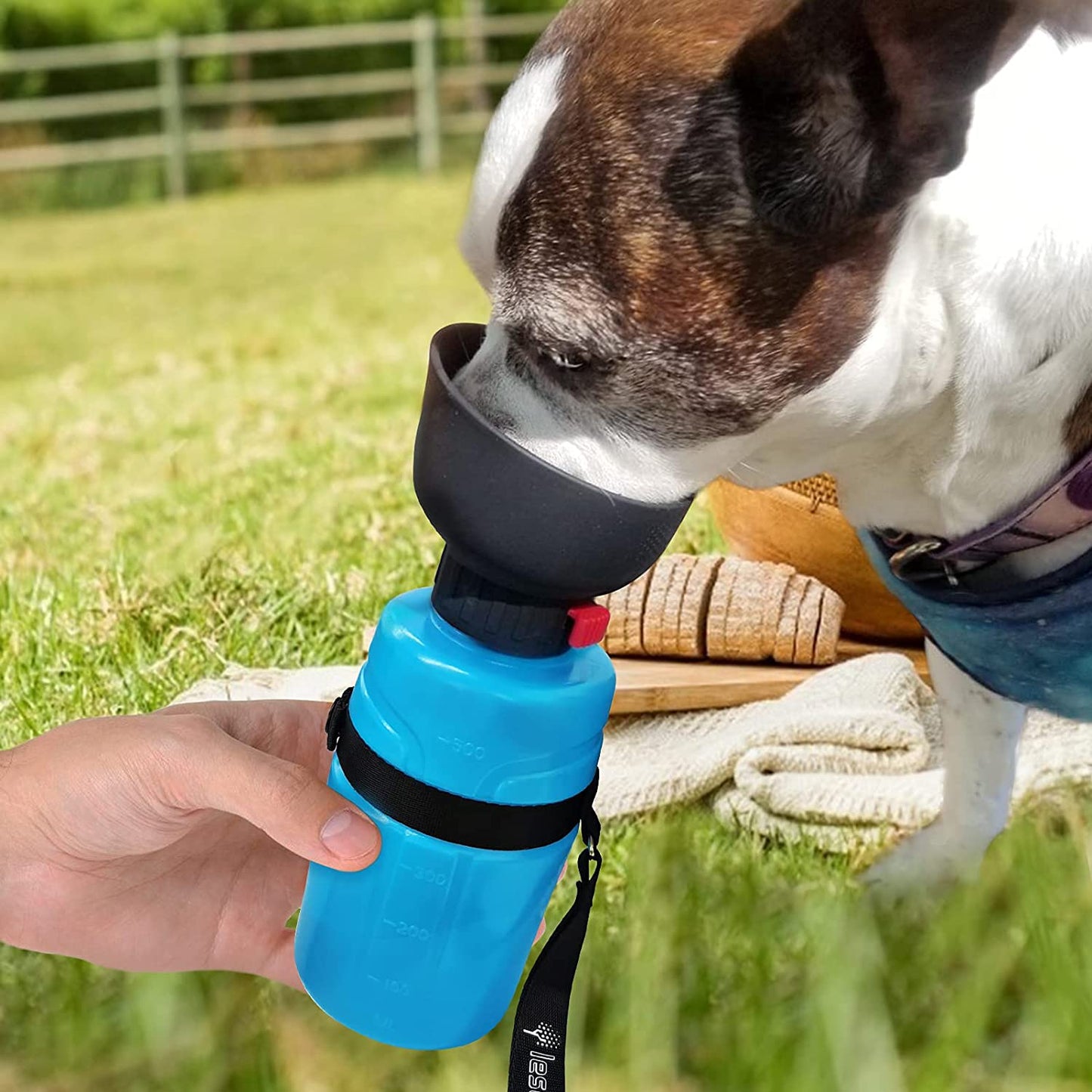 2nd Foldable Dog Water Dispenser Bottle , American Patent