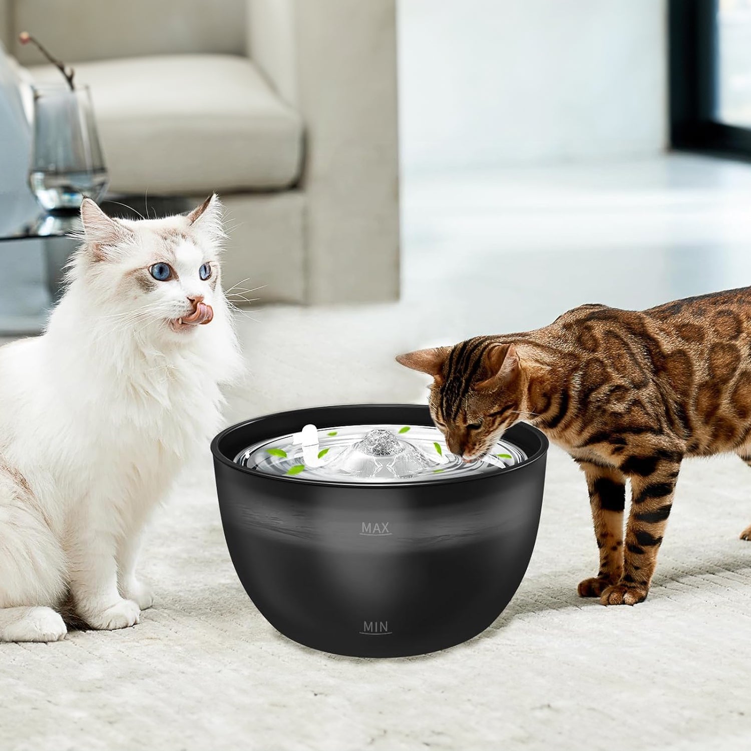 Cat Water Fountains