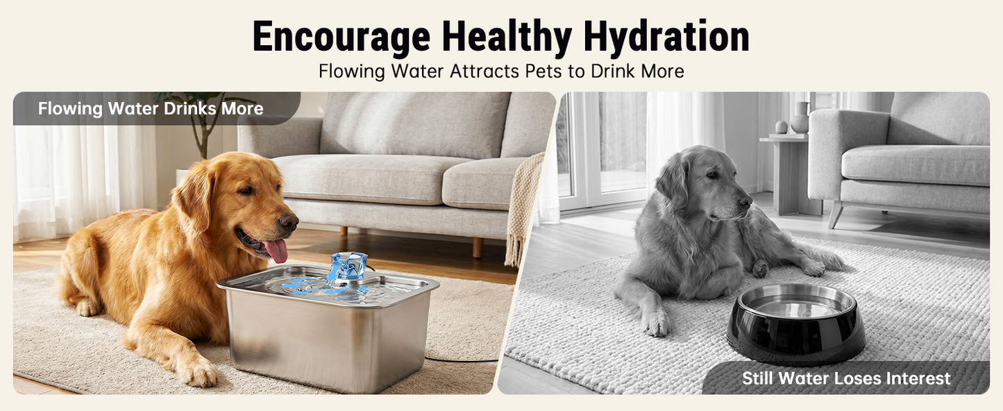 D2341 10L (2.6-Gallon) Stainless Steel Dog Water Fountain