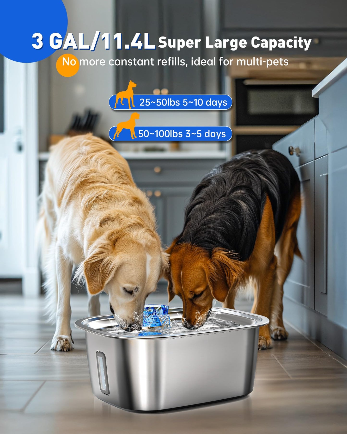 3-Gallon Stainless Steel Dog Water Fountain for Large Dogs