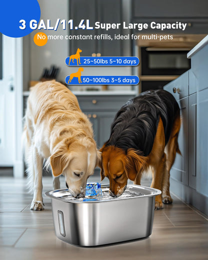 3-Gallon Stainless Steel Dog Water Fountain for Large Dogs