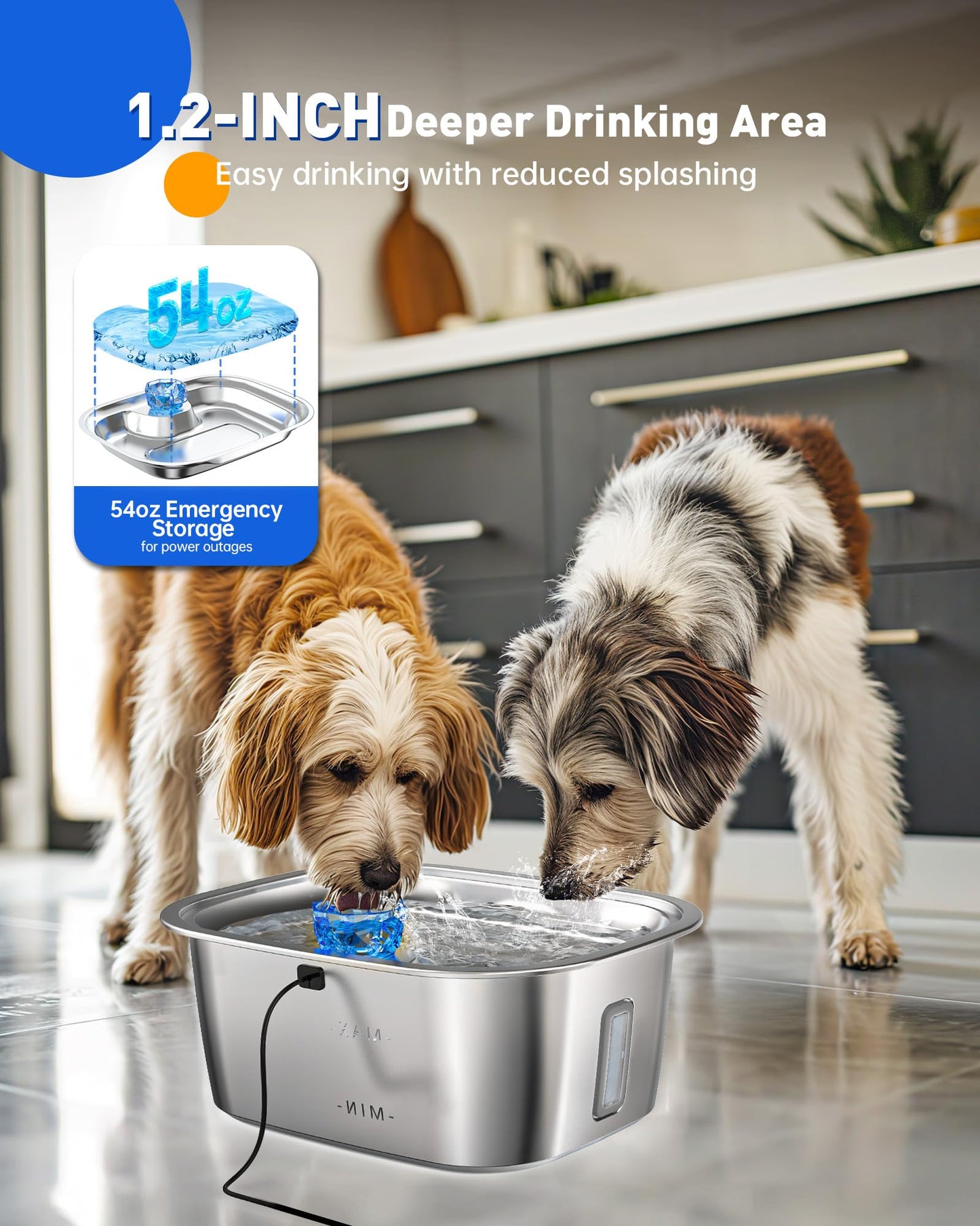 3-Gallon Stainless Steel Dog Water Fountain for Large Dogs
