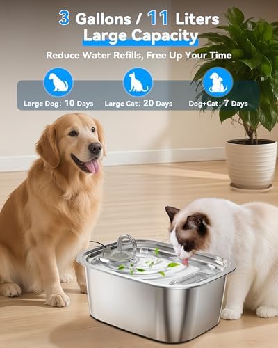 PetNF automatic pet water dispenser feature image
