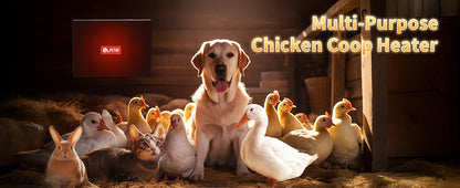 140W Chicken Coop Heater, Radiant & Energy Efficient, Safer Than Brooder Lamps, UL-Compliant, 11.81"×15.74"