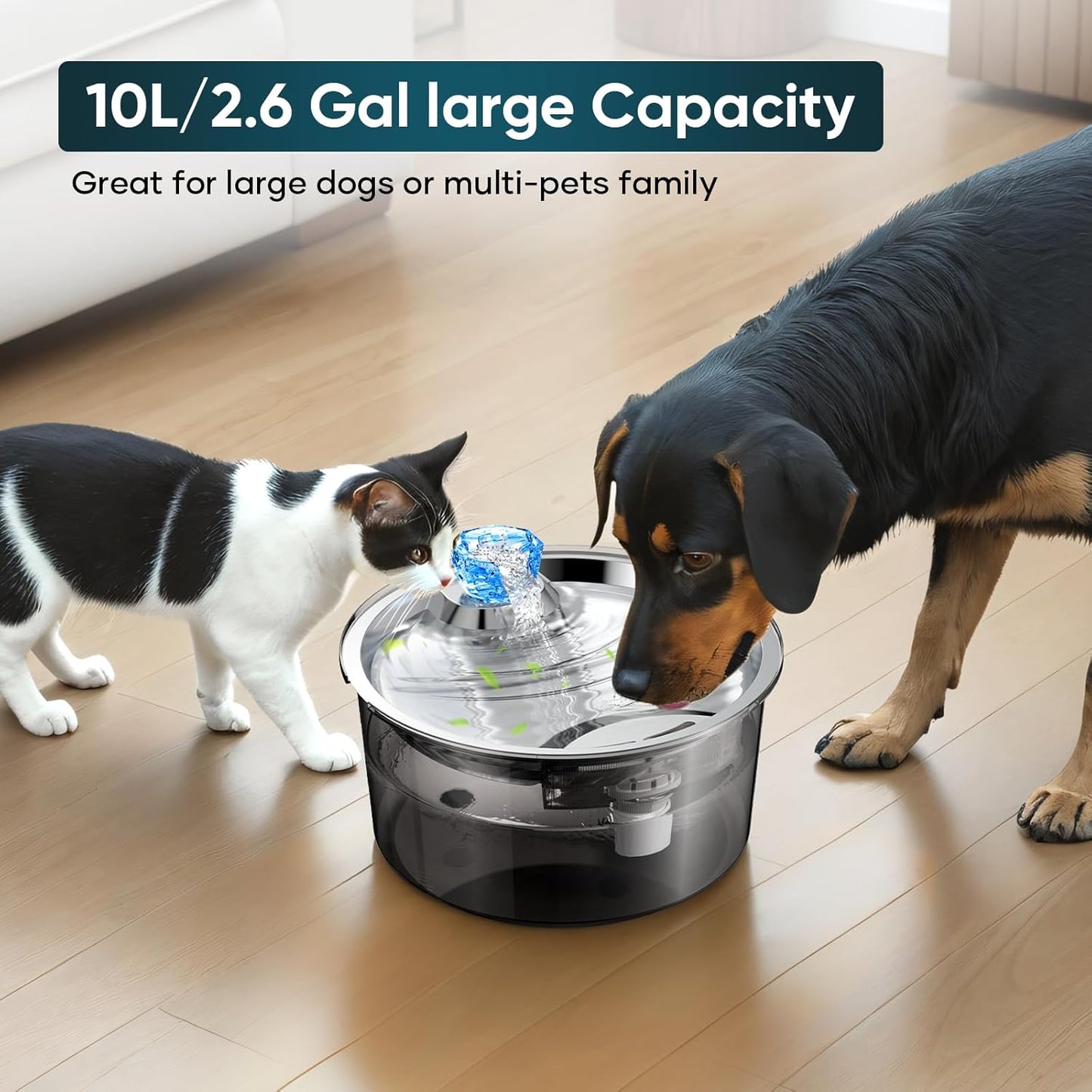 Dog Water Fountain for Large Dog, 2.6 Gallon