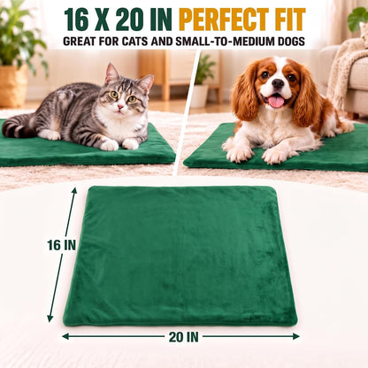Smart WiFi Heated Pet Pad M, 19.7 x 15.7 in (40 x 50 cm), App Temp & Timer, Washable Cover, D2609