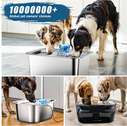 Dog Water Fountain Water Pump Replacement