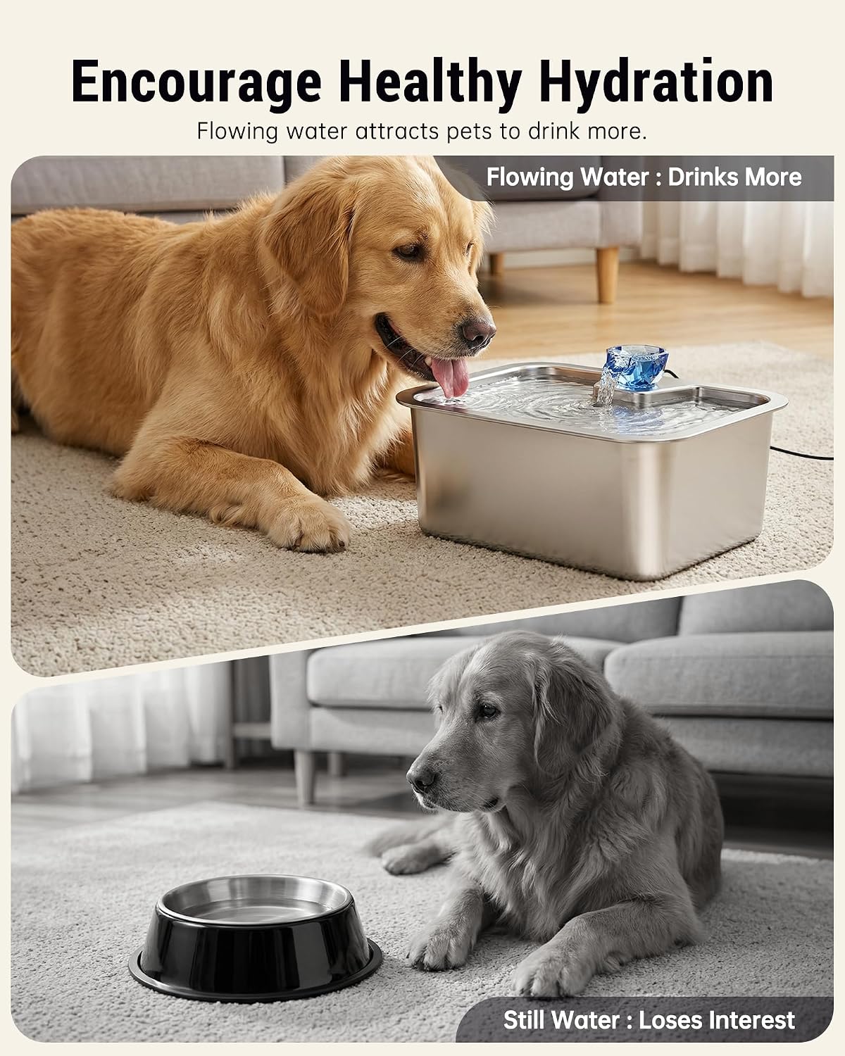 D2341 10L (2.6-Gallon) Stainless Steel Dog Water Fountain