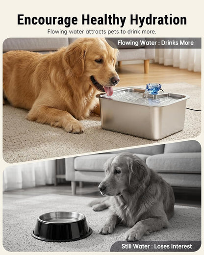 D2341 10L (2.6-Gallon) Stainless Steel Dog Water Fountain