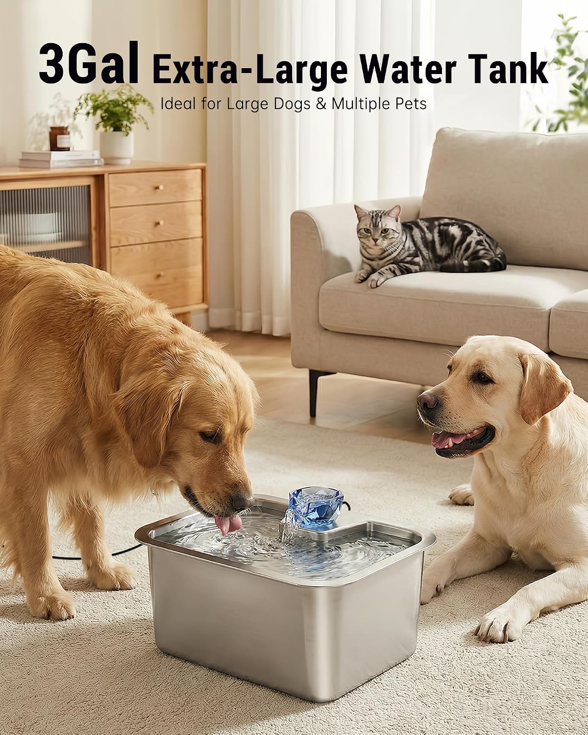 D2341 10L (2.6-Gallon) Stainless Steel Dog Water Fountain