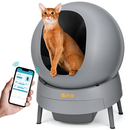 PETNF Smart Cat Litter Box