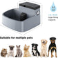 1st  Outdoor Auto Refill Pet Water Fountain