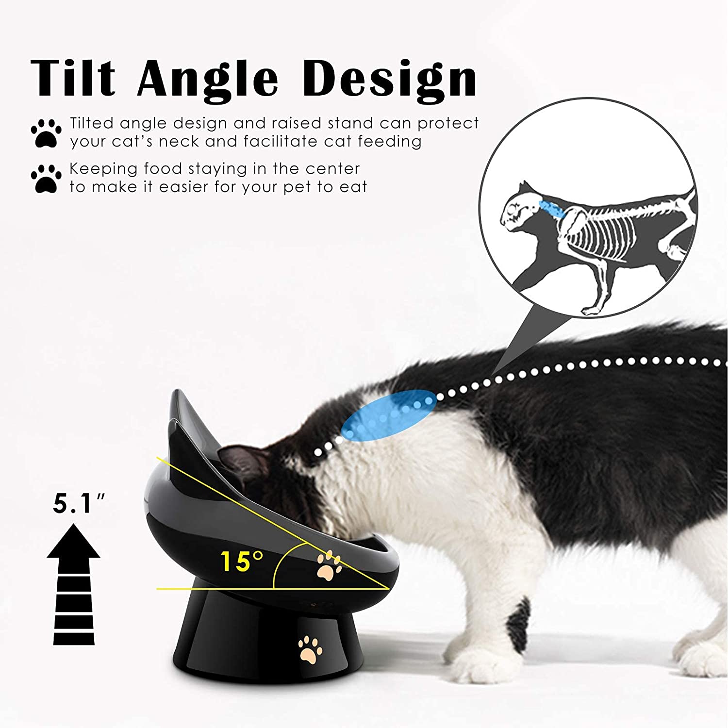Elevated Dog Bowls for Cats Small Dogs - Mildew Proof Tilted