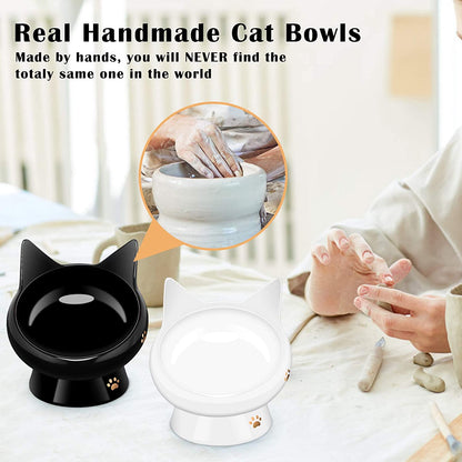 Cat Bowl,Raised Cat Food Bowls Anti Vomiting,Tilted Elevated Cat Bowl,Ceramic