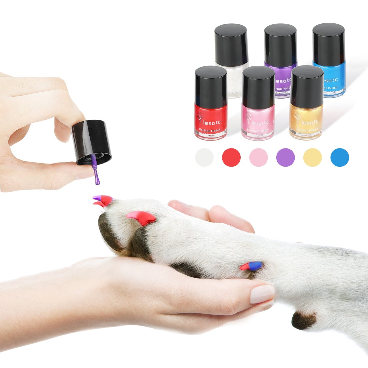 Dog Nail Polish Set,   Non-Toxic Water-based, 6 Color Set