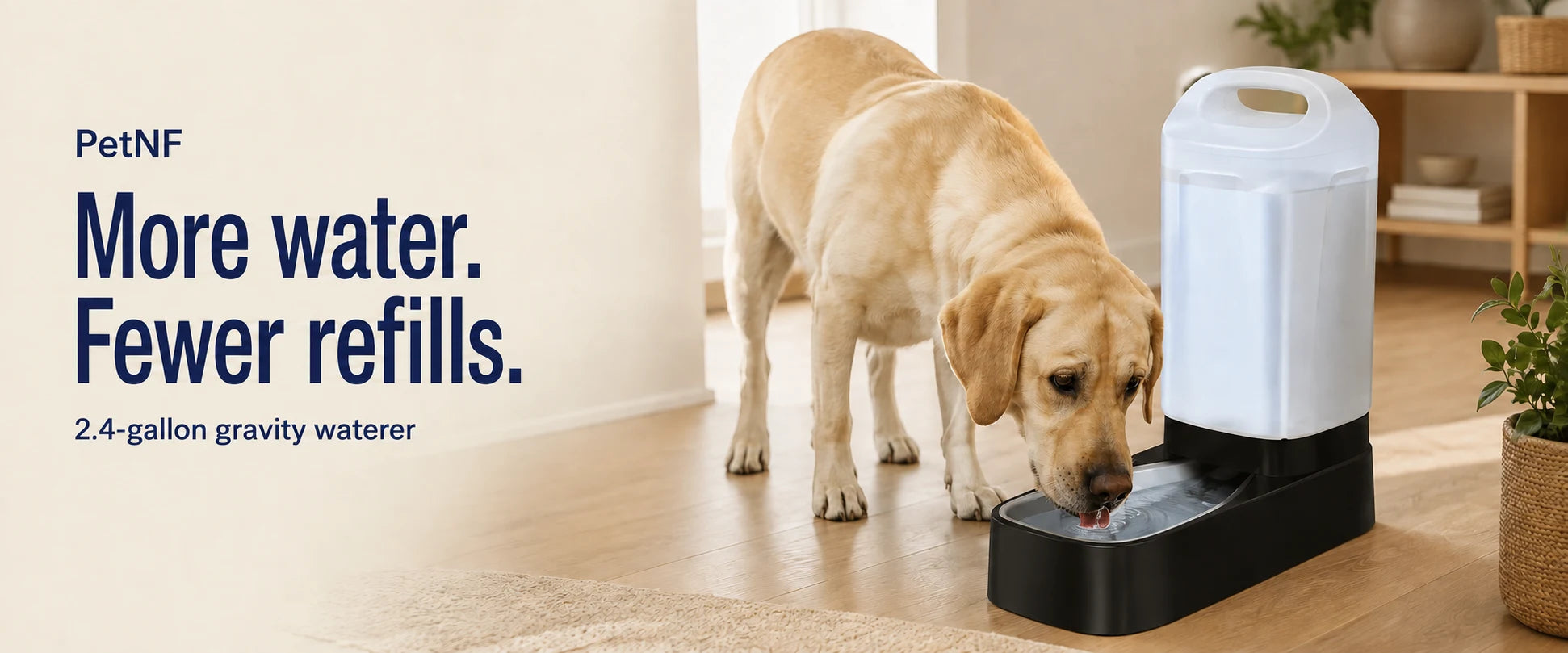 PetNF — More water. Fewer refills. 2.4-gallon gravity waterer D2416B. Labrador drinking beside the CAD-referenced product in a home campaign scene.