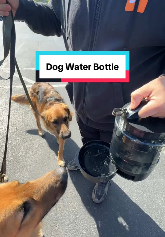 PF131 77oz water dispenser demonstrated by @gembosells