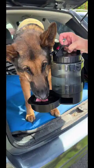 PF131 77oz water dispenser demonstrated by @mwdrex_and_rider